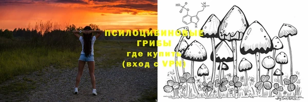 спайс Алексин